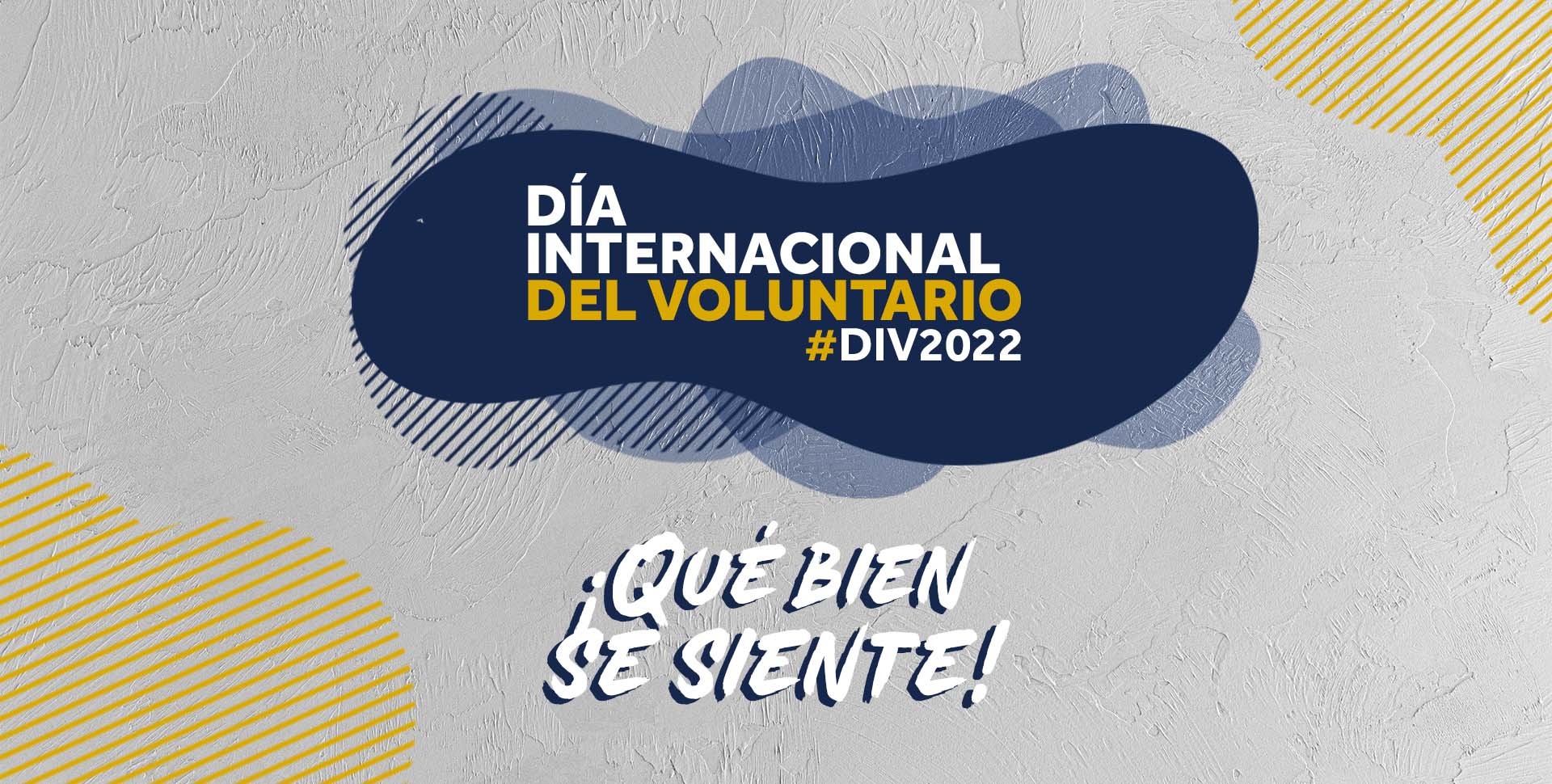 #DIV2022 - Guadalajara - Limpieza y rehabilitación de espacios
